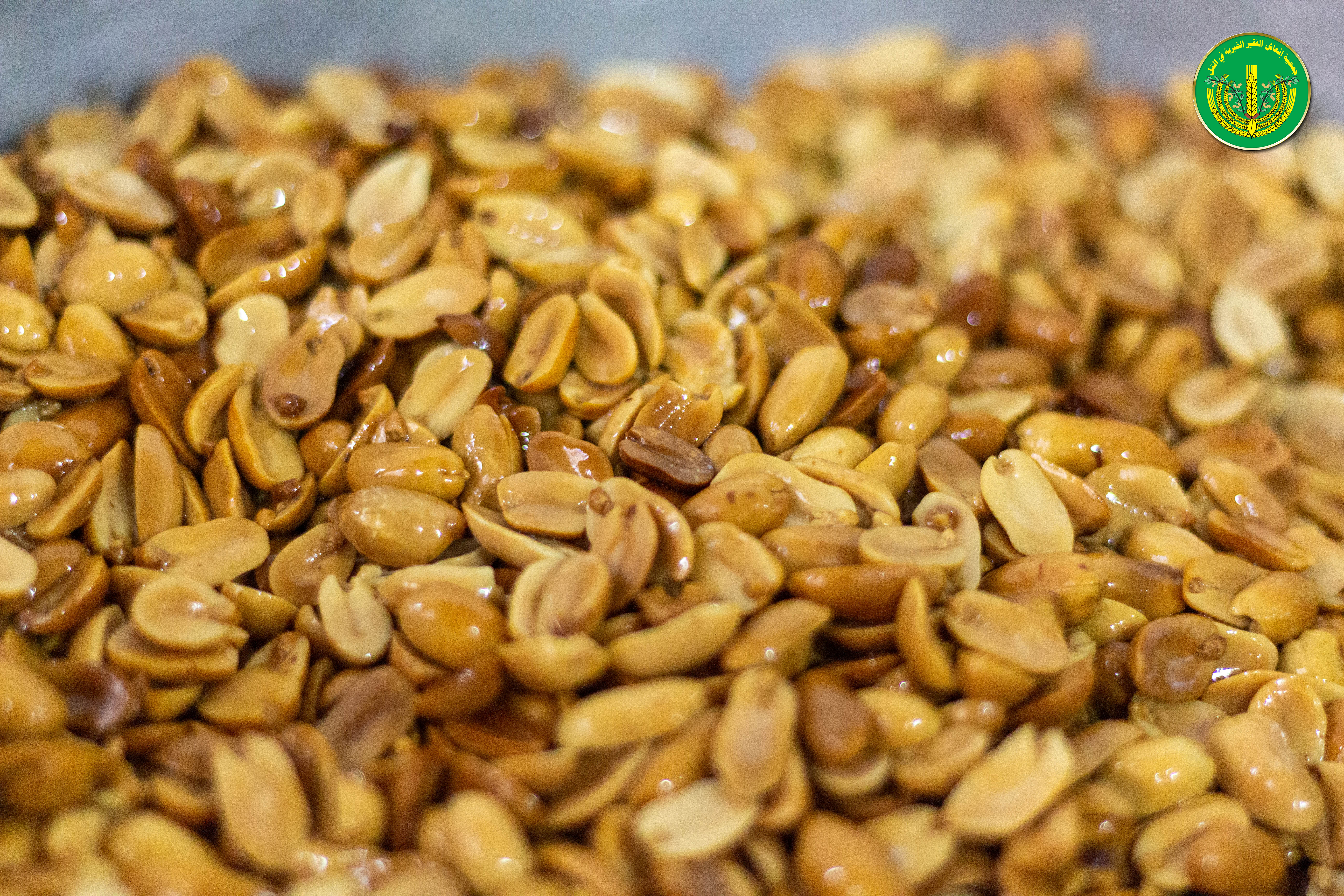 أحدث طلبات المطبخ